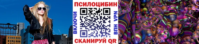 купить закладку  Сорск  Псилоцибиновые грибы Psilocybine cubensis 